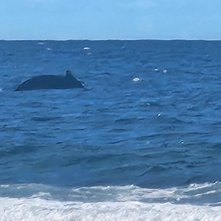 Moorea Temae Bungalow Lory Bord De Mer Luaran gambar