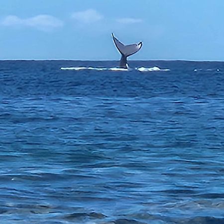 Moorea Temae Bungalow Lory Bord De Mer Luaran gambar
