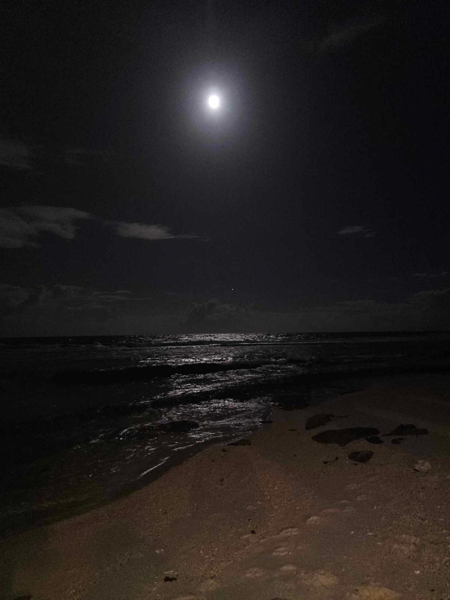 Moorea Temae Bungalow Lory Bord De Mer Luaran gambar