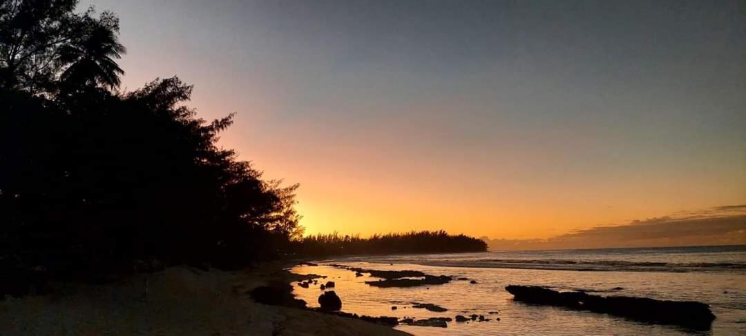 Moorea Temae Bungalow Lory Bord De Mer Luaran gambar